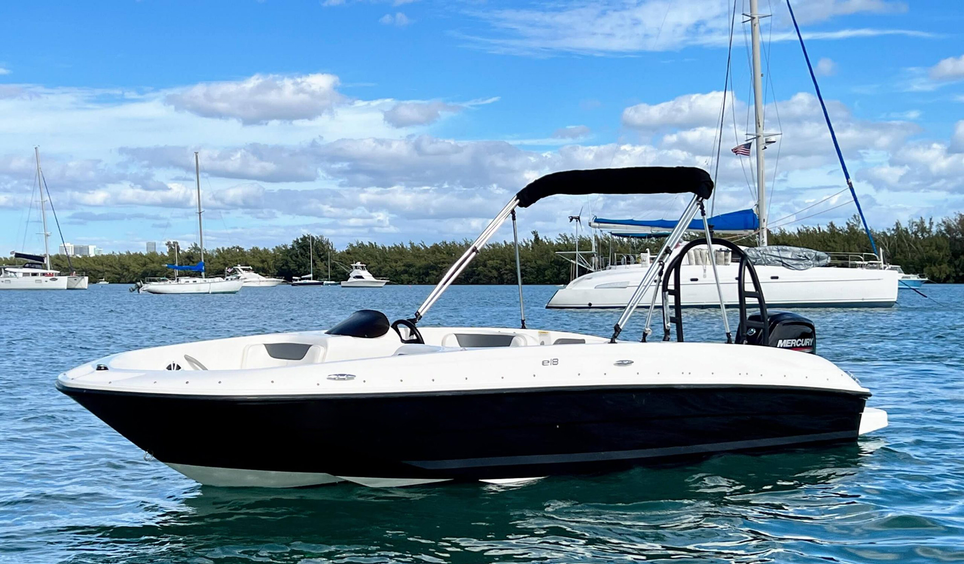 Bayliner E18 Outboard Фото № 3